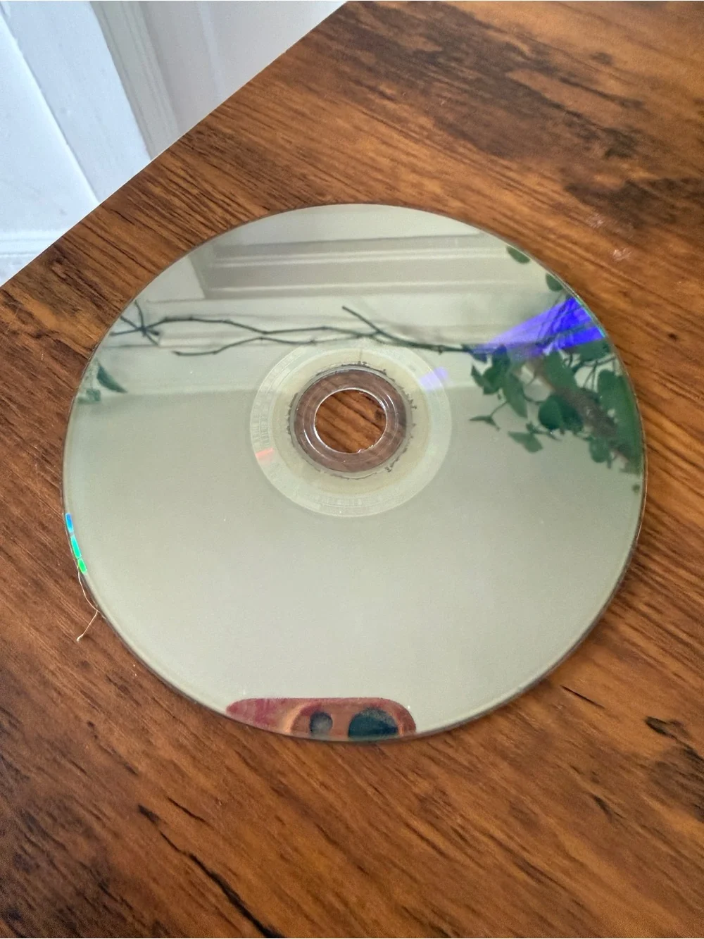 ARK: Survival Evolved Game Disc - Green Xbox One